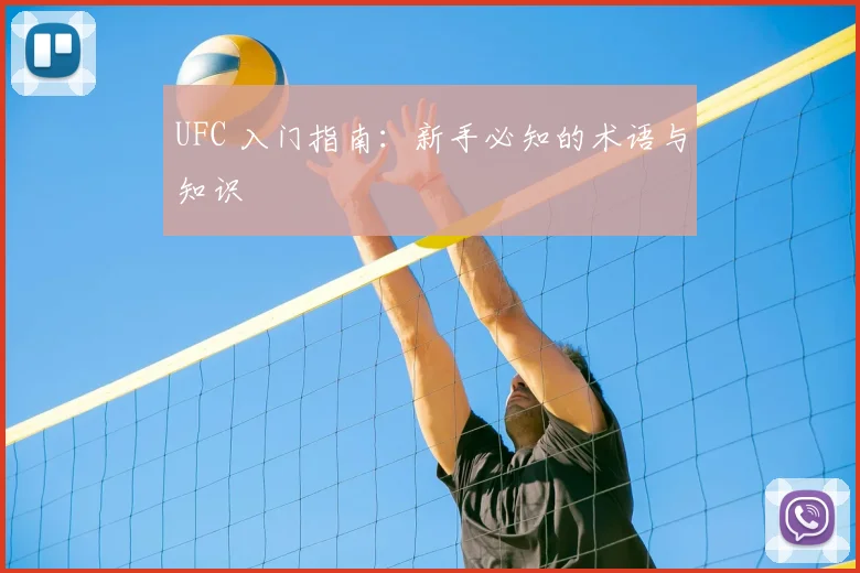 UFC 入门指南：新手必知的术语与知识