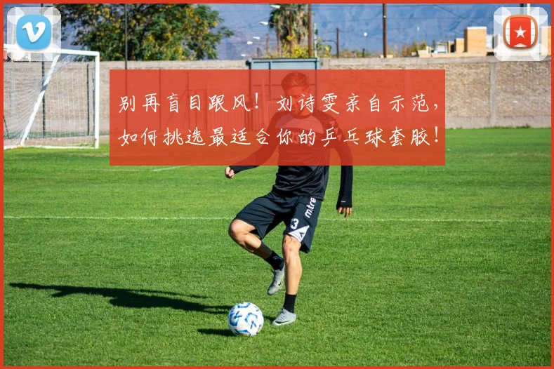 别再盲目跟风！刘诗雯亲自示范，如何挑选最适合你的乒乓球套胶！