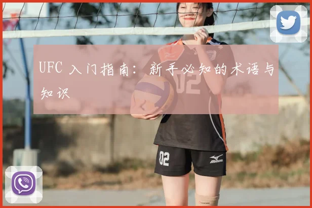 UFC 入门指南:新手必知的术语与知识